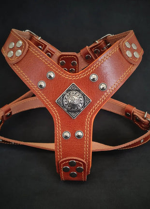 Eros Leather Harness - xlchoice.com