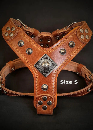 Eros Leather Harness - xlchoice.com