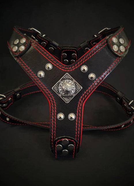 Eros Leather Harness - xlchoice.com