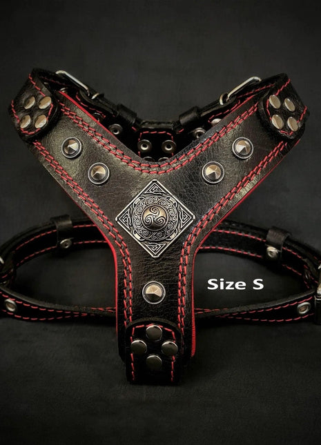 Eros Leather Harness - xlchoice.com