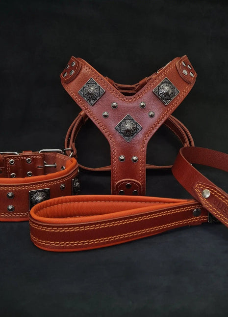 Eros Leather Harness - xlchoice.com