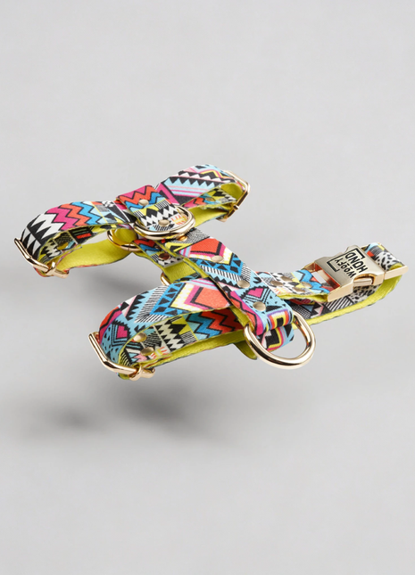 Hundegeschirr Ethnic-Vibrance-0