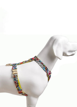 Hundegeschirr Ethnic-Vibrance-2