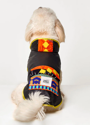 Fiesta Poncho-3