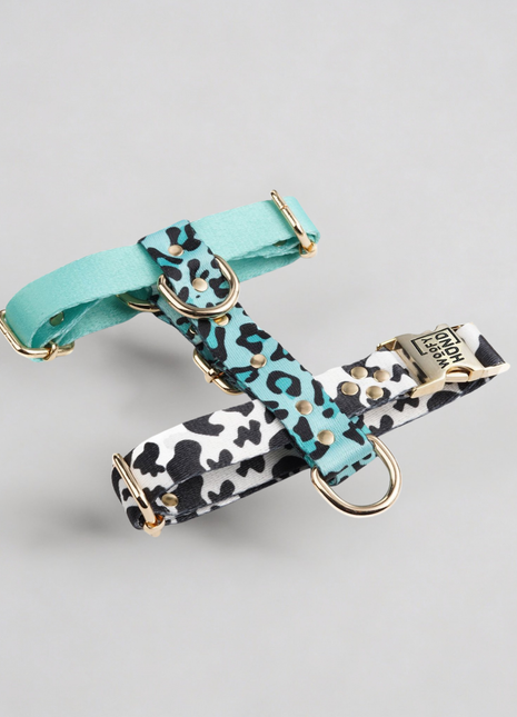 Hundegeschirr Aqua-Camo-1