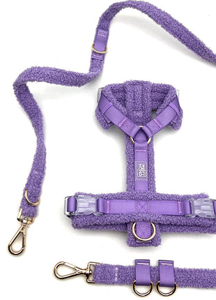 Hundegeschirr-Set Teddy Violett-2
