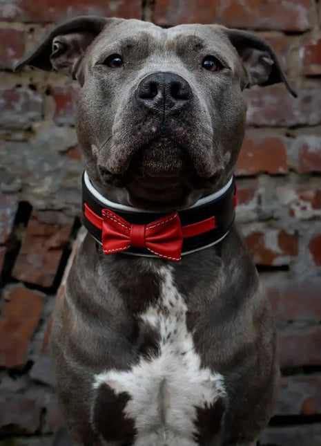 Leather Bowtie - xlchoice.com