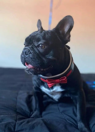 Leather Bowtie - xlchoice.com