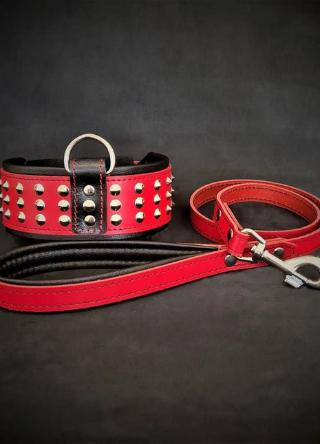 Leather Collar Set - xlchoice.com