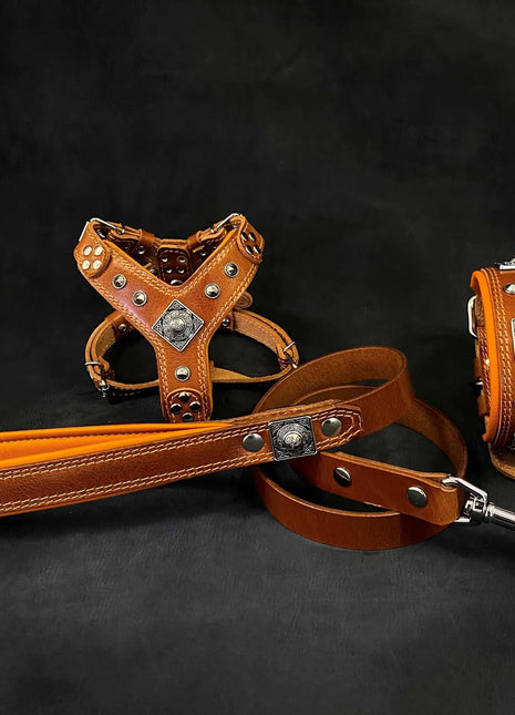 Leather Eros Dog Set - xlchoice.com