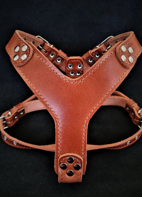 Leather Harness - xlchoice.com
