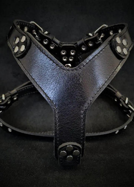 Leather Harness - xlchoice.com