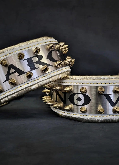 Leather Metal Collar - xlchoice.com