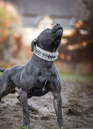 Leather Metal Collar - xlchoice.com