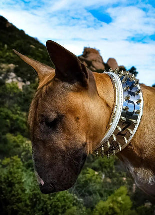 Leather Metal Collar - xlchoice.com