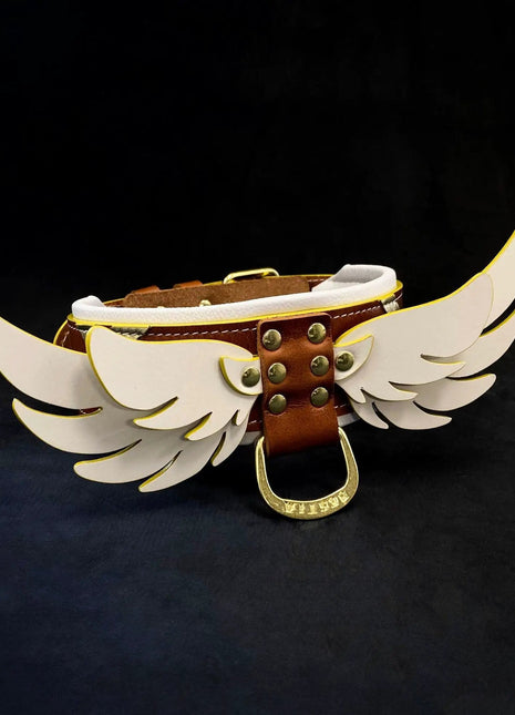 Leather Wings Collar - xlchoice.com