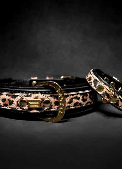Leopard Collar - xlchoice.com