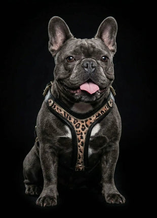 Leopard Harness - xlchoice.com