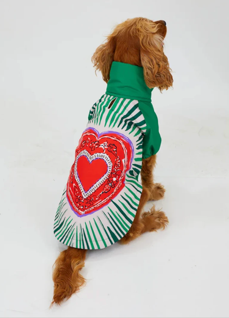 LoveShield Regenjacke - XLchoice