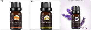 Essential oil - xlchoice.com