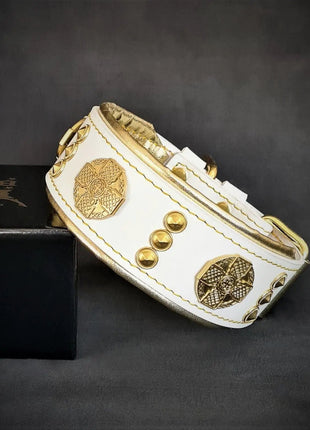 Maximus Gold Collar - xlchoice.com