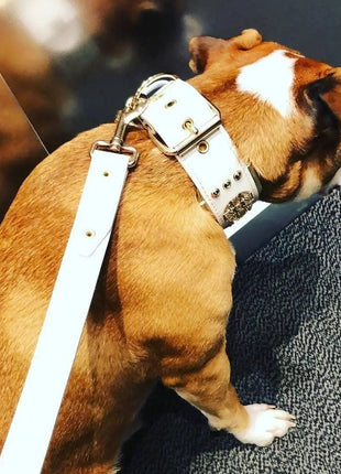 Maximus Leather Lead - xlchoice.com