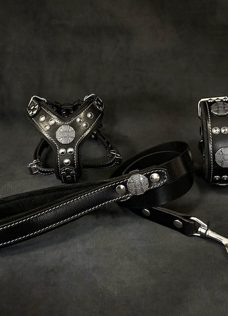 Maximus Leather Set - xlchoice.com