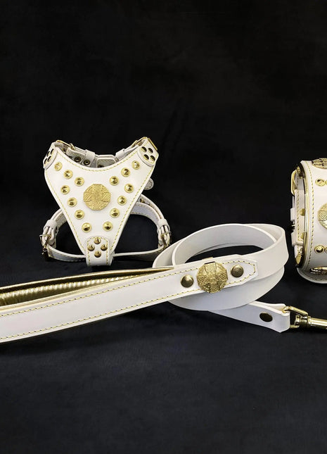 Maximus Leather Set - xlchoice.com