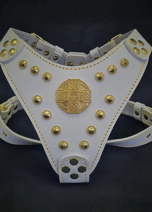 Maximus Leather - xlchoice.com