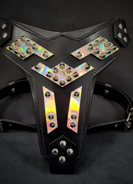 Midas Harness - xlchoice.com
