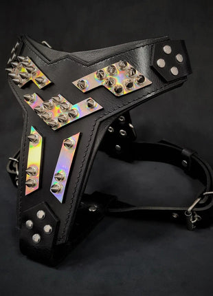 Midas Harness - xlchoice.com
