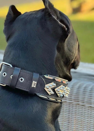 Midas Leather Collar - xlchoice.com