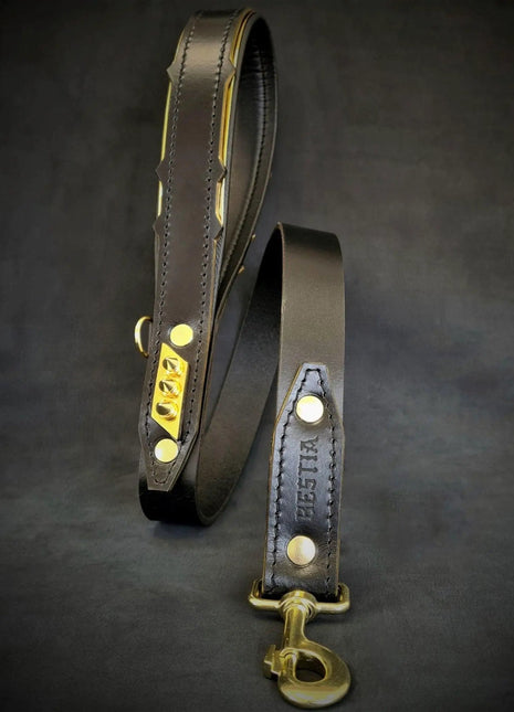 Midas Leather Leash - xlchoice.com