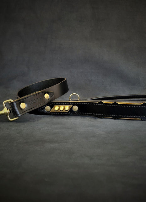 Midas Leather Leash - xlchoice.com
