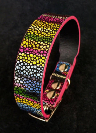 Moby Rainbow Collar - xlchoice.com