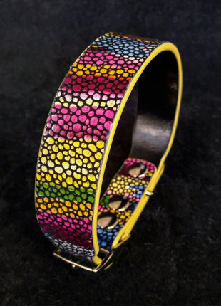 Moby Rainbow Collar - xlchoice.com