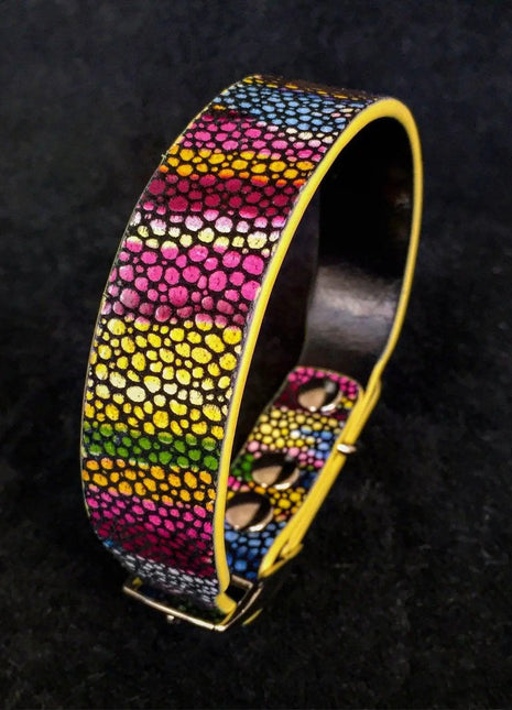 Moby Rainbow Collar - xlchoice.com