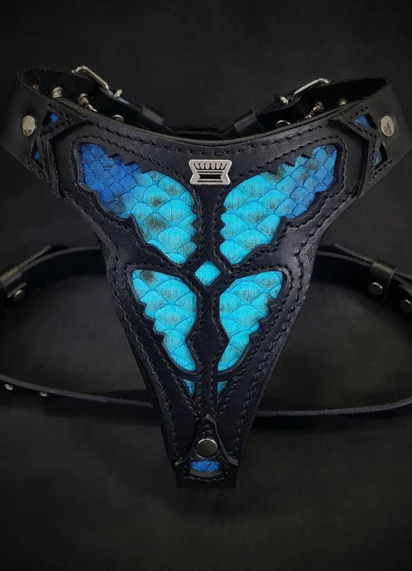 Morelia Python - xlchoice.com