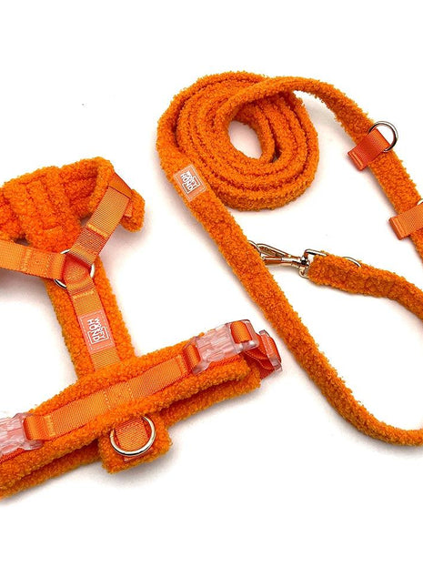 Hundegeschirr-Set Teddy Orange - XLchoice