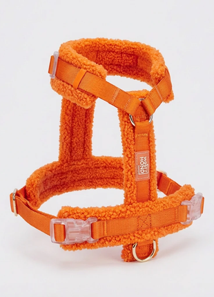 Hundegeschirr-Set Teddy Orange - XLchoice