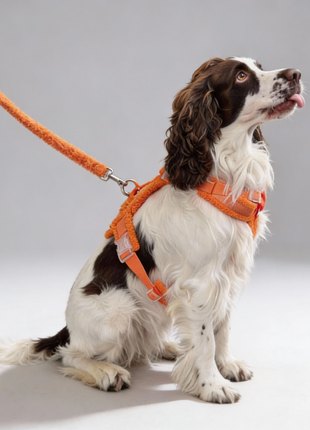 Hundegeschirr-Set Teddy Orange - XLchoice