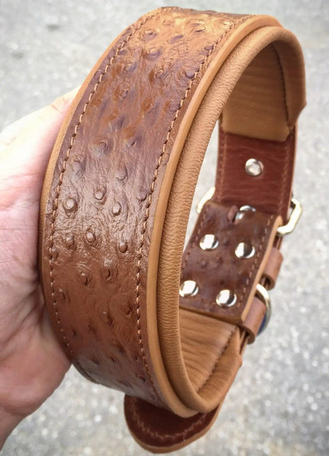 Ostrich Collar - xlchoice.com