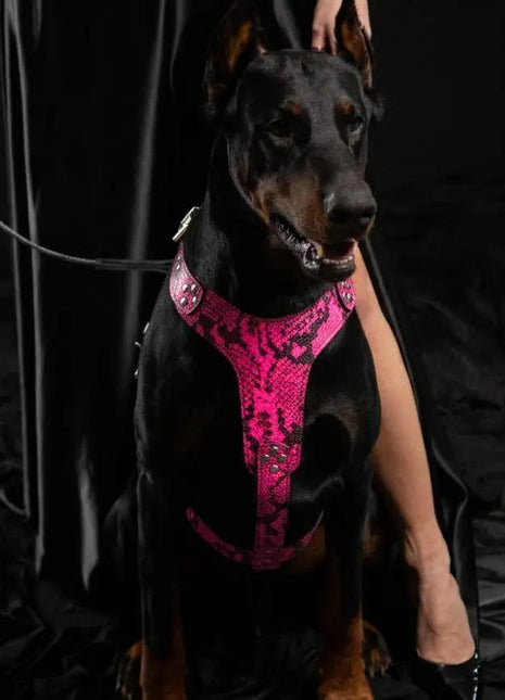 Pink Python Harness - xlchoice.com