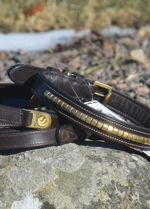 Premium dog collar in natural tanned leather and classic clincher - XLchoice