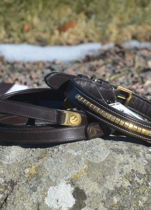 Premium dog collar in natural tanned leather and classic clincher - XLchoice