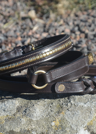 Premium dog collar in natural tanned leather and classic clincher - XLchoice
