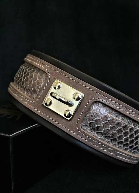 Python Collar - xlchoice.com