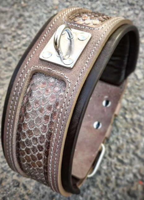 Python Collar - xlchoice.com