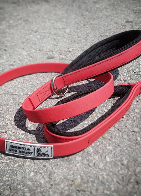 Red Dog Leash - xlchoice.com