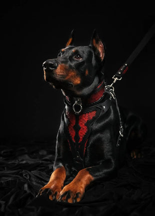 Red Dragon Collar - xlchoice.com
